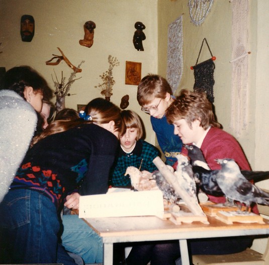 кружок Юный друг природы, педагог Овчинникова И.В.